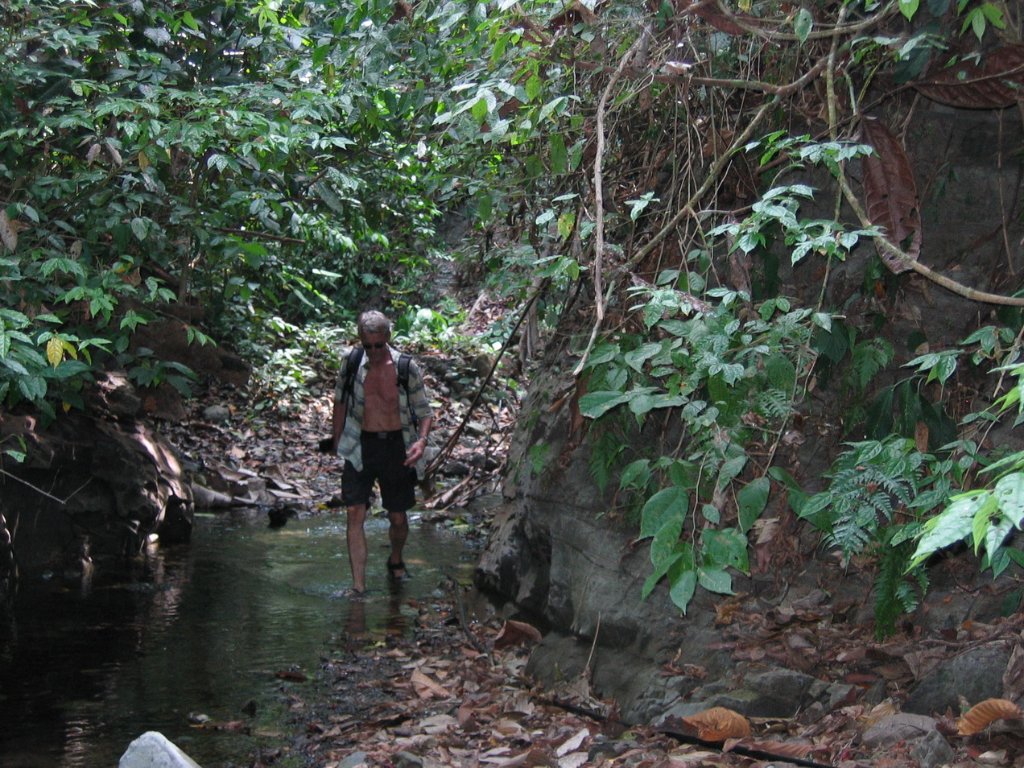 18-Hiking through the jungle.jpg - Hiking through the jungle